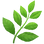 USP Icon 1